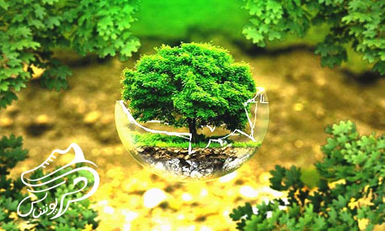 نوآوری‌های محیط‌زیستی و استدامت